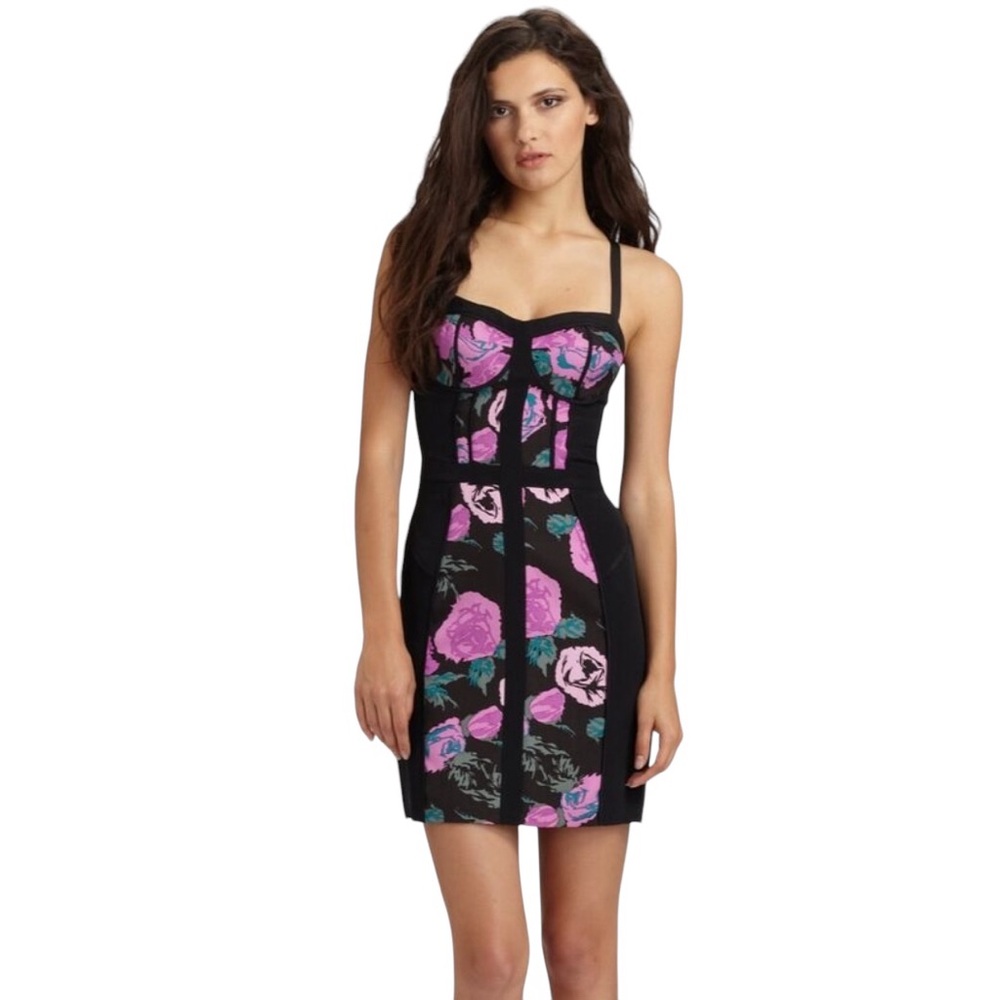 Rebecca Minkoff Bustier Clara Floral Silk Cotton Dress Sz 6